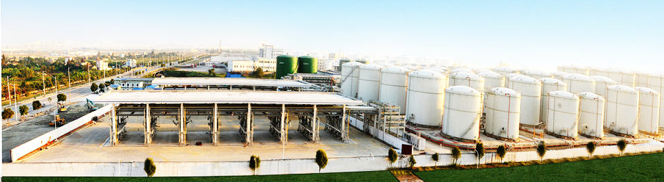 盛源01.png 盛源01.png